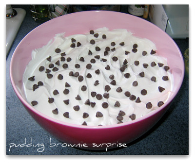 Chocolate Pudding and Brownie Surprise
