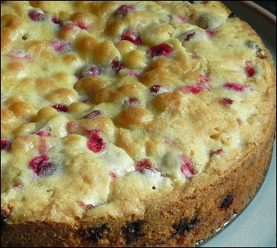 festive cranberry cake
