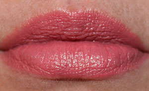 Wet N Wild Megashield lip color in Within These Adobe Walls