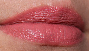 Wet N Wild Megashield lip color in Within These Adobe Walls swatch
