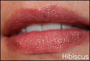 Stila hibiscus lip glaze swatch