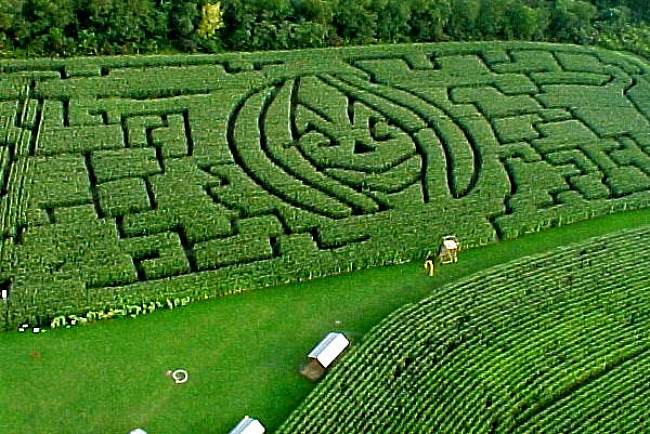 Lonesome Valley Farms Corn Maze / myfindsonline.com