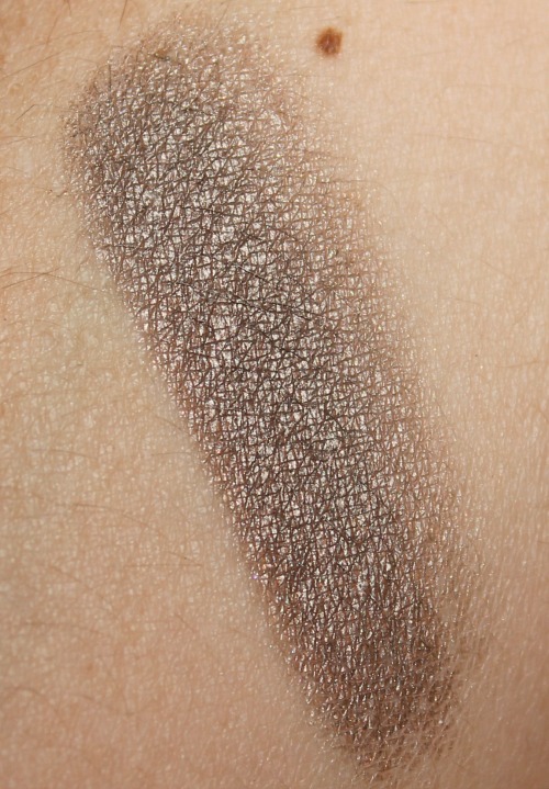 Prestige Cosmetics True Metals Eyeshadow Swatch in Pewter / myfindsonline.com