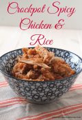 Crockpot Spicy Chicken and Rice